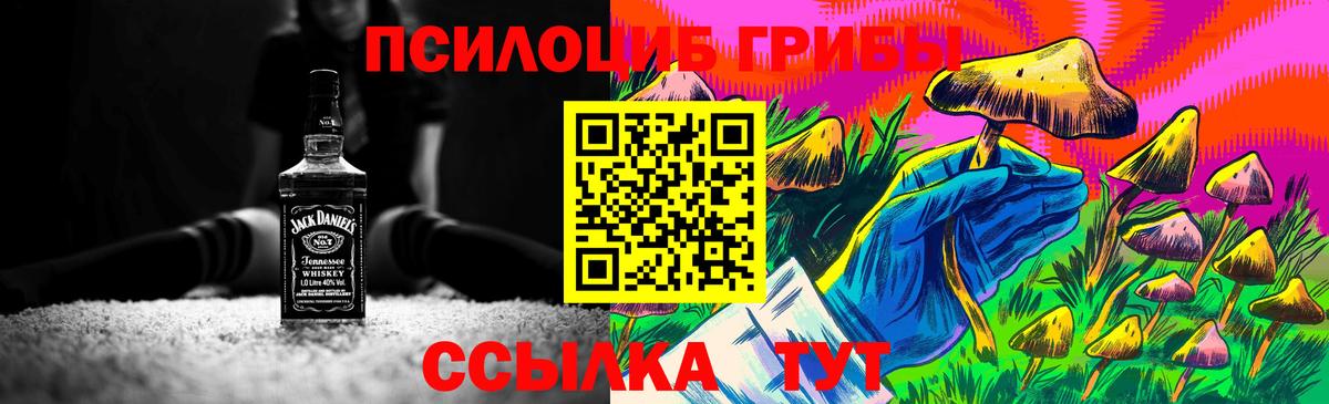 где можно купить наркотик  Псилоцибиновые грибы Psilocybe  Галлюциногенные грибы прущие грибы  Вход с VPN  Нерюнгри 